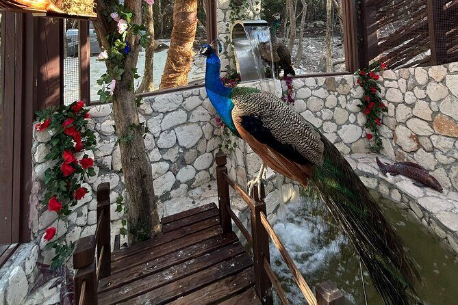 007 Private Beach Club -Swimming Pigs, Snorkeling, Lunch, Drinks - FAQ