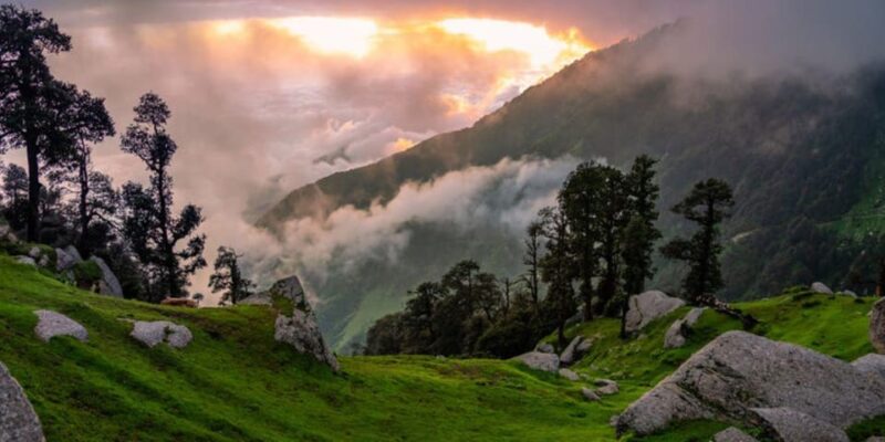 06 Days, Delhi, Agra Chandigarh & Dharamshala Exclusive Tour - Inclusions and Exclusions