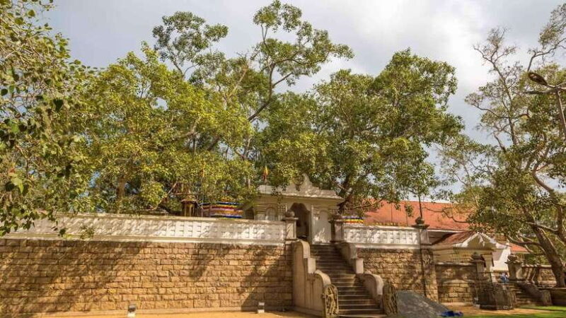 09 Days Heritage Trails of Sri Lanka - In The Sum Up