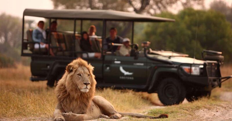 1/2 Day Hluhluwe Imfolozi Big 5 Tour From Richards Bay - Good To Know
