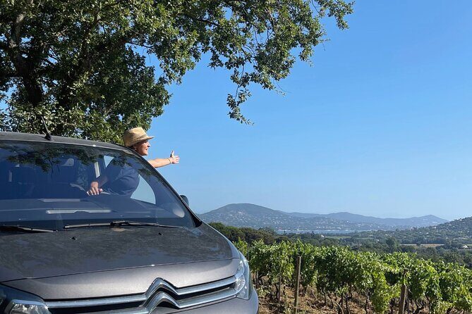 1/2 day, private wine tour, van from Saint Tropez - A Detailed Look at the Experience