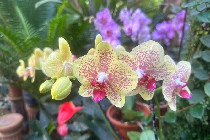 1/2 Day Puerto Vallarta Botanical Garden tour by Biologist Guide - The Itinerary Breakdown