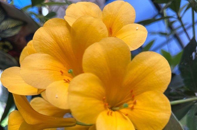 1/2 Day Puerto Vallarta Botanical Garden tour by Biologist Guide - What to Expect in Terms of Logistics