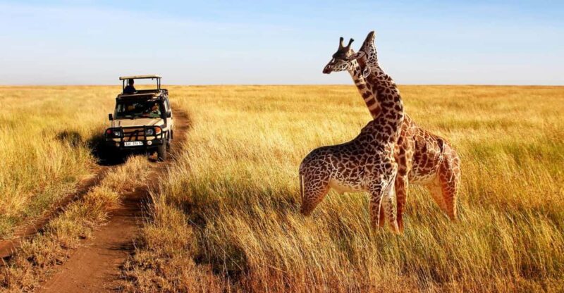 1/2 Day Safari From Durban - Private Tour - Tour Logistics