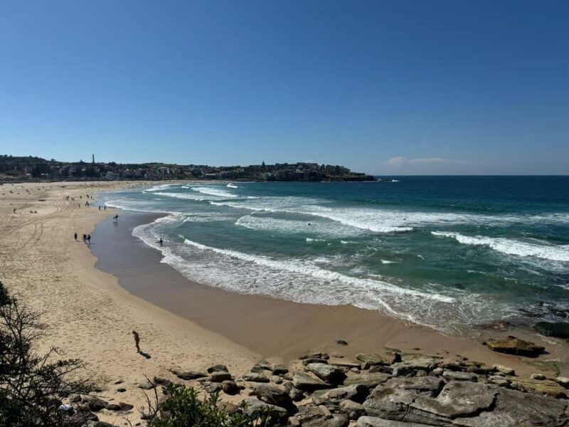 1/2 day Sydney Sightseeing and Bondi Beach Tour - The Sum Up