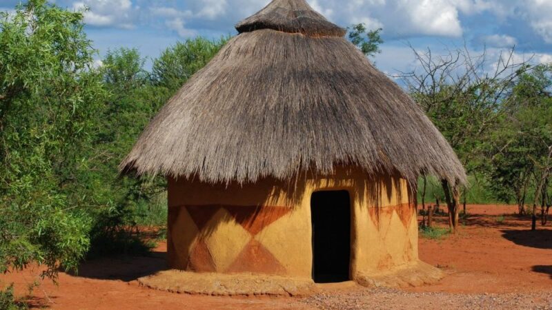 1/2 Day Tala Game Reserve & Phezulu Safari Park From Durban - Good To Know