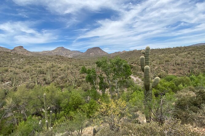 1-2 Hour Jewel of the Creek Private Guided Hiking Tour - Personalizing Your Hiking Experience