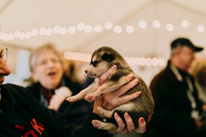 1.5-Hour Beer and Puppies Guided Experience in Fairbanks - Key Points