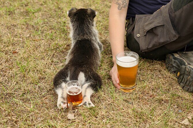 1.5-Hour Beer and Puppies Guided Experience in Fairbanks - A Closer Look at the Experience