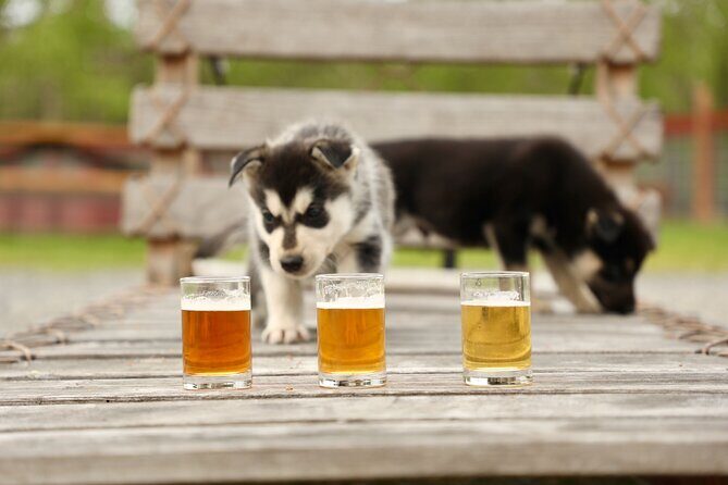 1.5-Hour Beer and Puppies Guided Experience in Fairbanks - Why This Tour Works