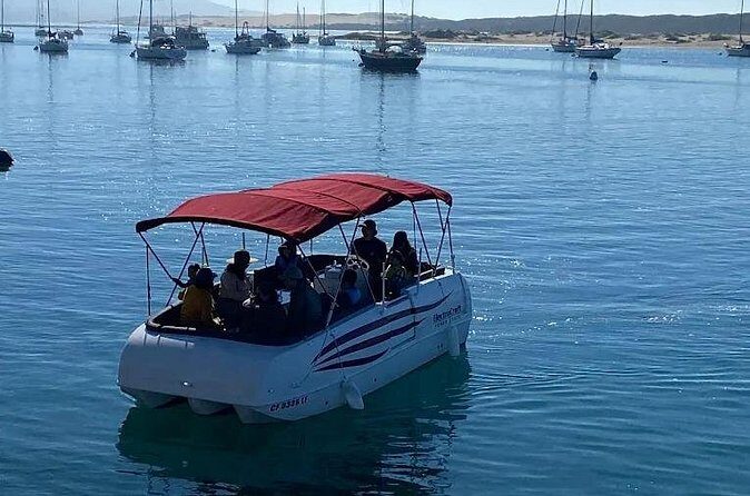 1.5 Hour Boat Rental - The Value of the Experience