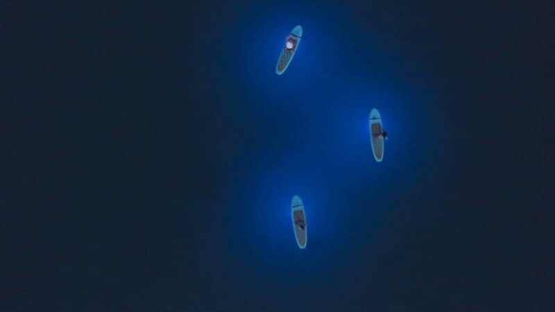 1.5-hour Clear Kayak Rental: Discover the Underwater World - The Sum Up