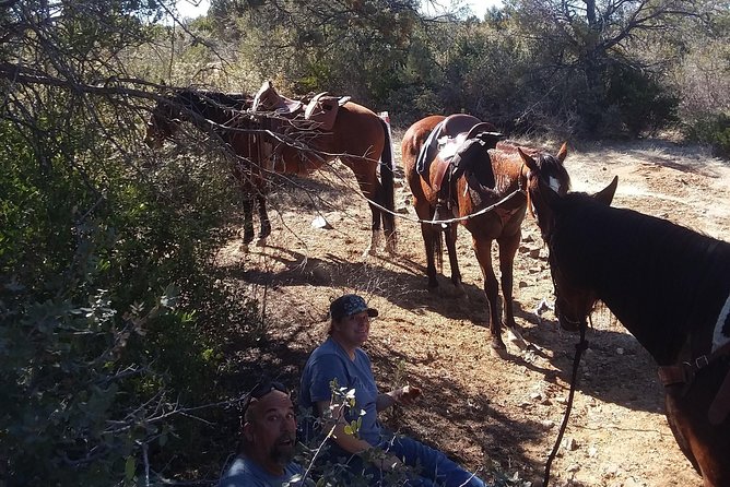 1.5 Hour Horseback Ride - Meeting Point Details
