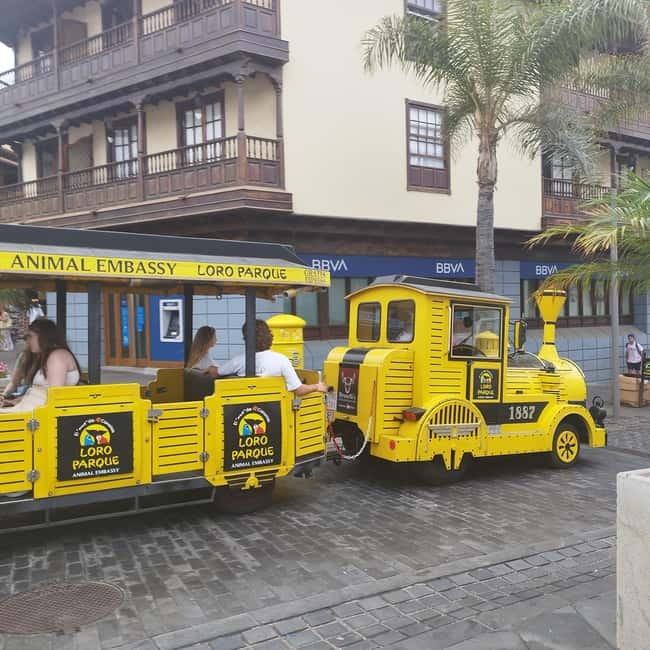 1.5-hour walking tour of Puerto de la Cruz, Tenerife. - Key Points
