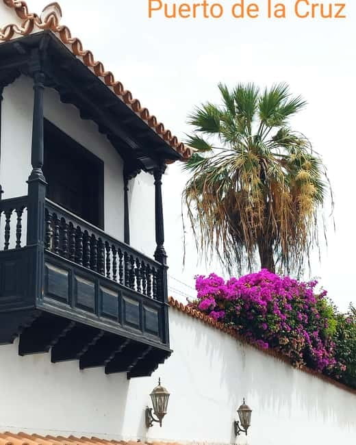 1.5-hour walking tour of Puerto de la Cruz, Tenerife. - Discovering Puerto de la Cruz: A Walk Along the Coast
