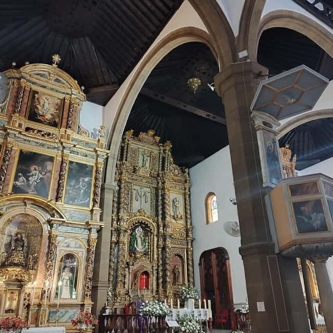 1.5-hour walking tour of Puerto de la Cruz, Tenerife. - Practical Details and Value