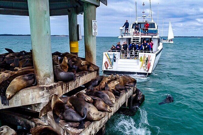 1.5hour Scenic and Wildlife luxury cruise - Key Points