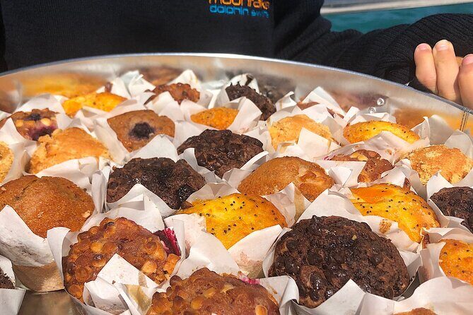 1.5hour Scenic and Wildlife luxury cruise - The Sum Up: Is It Worth It?