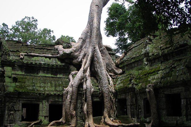 1-Day Amazing Angkor Wat Tour With Sunrise & All Interesting Major Temples - Included and Excluded