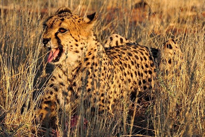 1 Day Arusha National Park - Overview of Arusha National Park