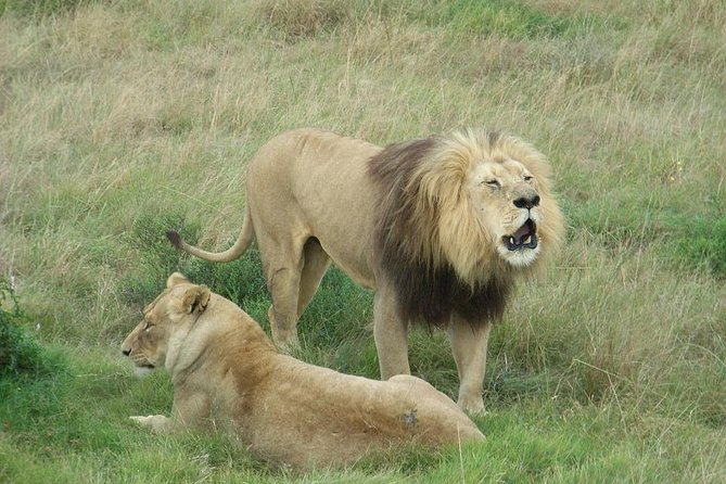 1 Day Arusha National Park - Booking Information and Policies