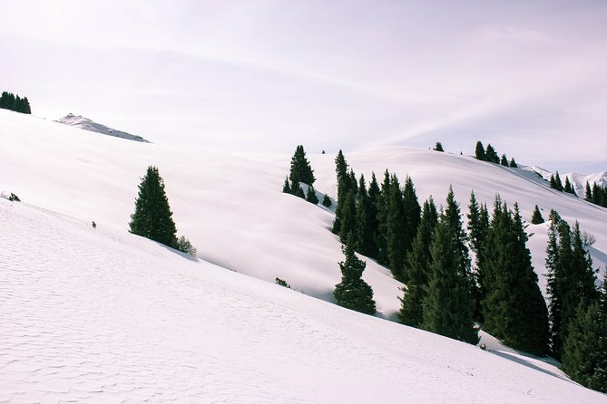 1-day Backcountry Tour - Meeting and Pickup Details