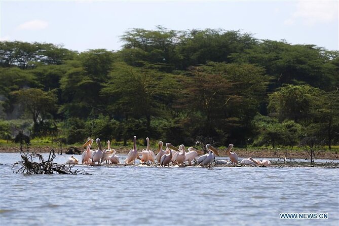 1 Day Bike Tour to Hell's Gate And Lake Naivasha - Pricing and Availability