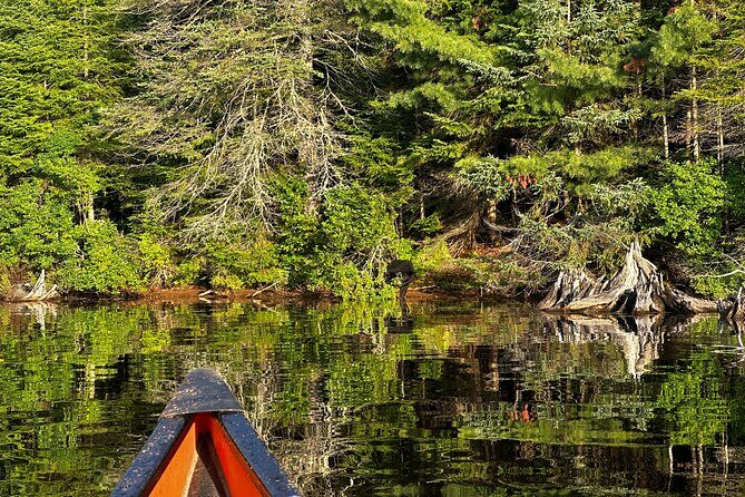 1 Day Canoeing Tour in Algonquin Park - Final Thoughts