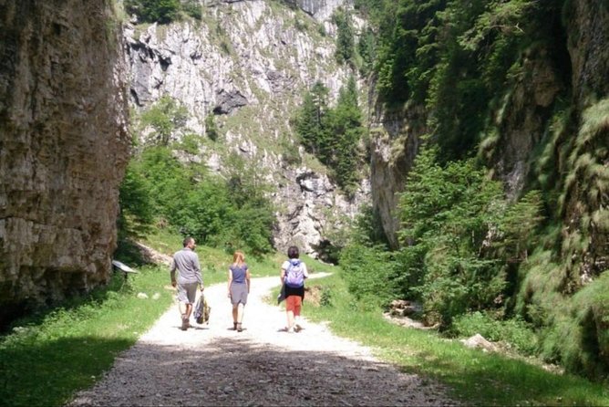 1 Day CARPATHIAN PEAKS & CHALETS Hike - Reviews and Feedback