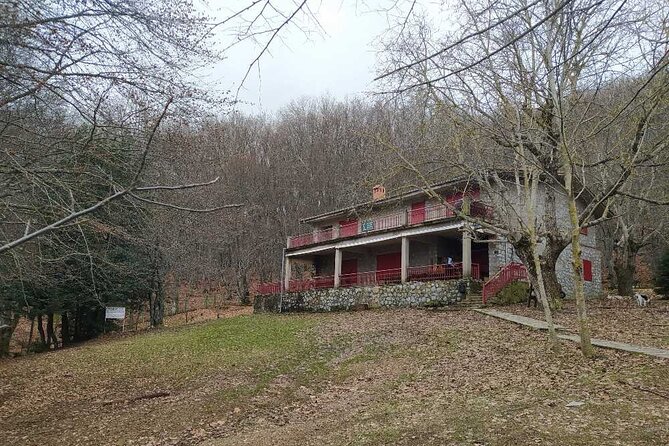 1 Day Chortiatis Thessaloniki Hiking Tour - Key Points