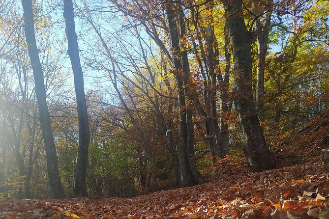 1 Day Chortiatis Thessaloniki Hiking Tour - The Sum Up