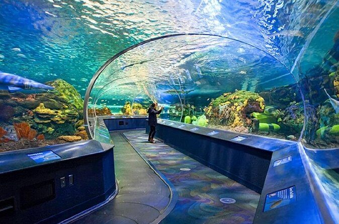 1 Day City Sightseeing Tour at Toronto City - The Sum Up