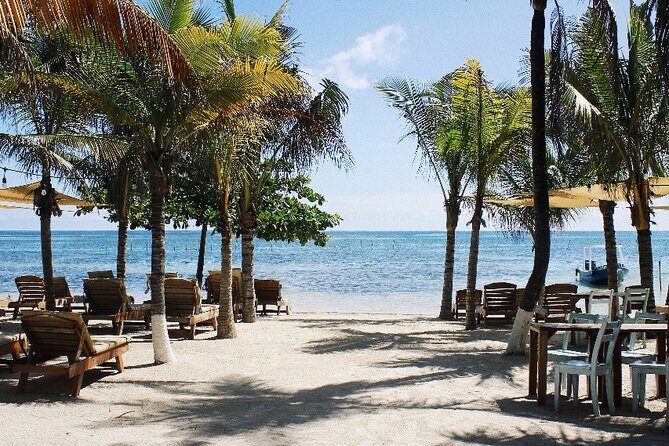 1 Day Costa Maya Premium Beach Break Experience - Authentic Experiences and Common Complaints