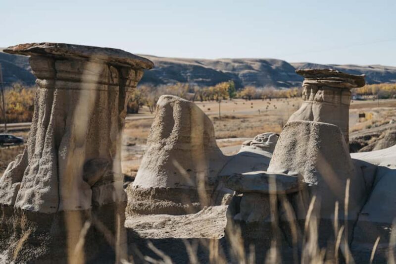 1 Day Drumheller Tour: Calgary to Hoodoos Dinosaurs Badlands - The Value of This Experience