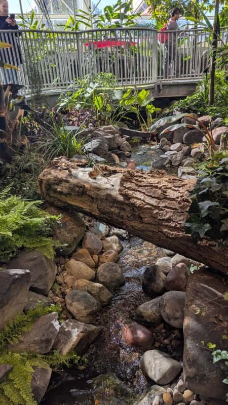 1 Day Drumheller Tour: Calgary to Hoodoos Dinosaurs Badlands - The Sum Up: Why This Tour Stands Out