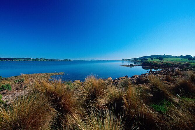 1 Day Exclusively Private Tour Of Phillip Island & The Penguin Parade - Practicalities and Tips