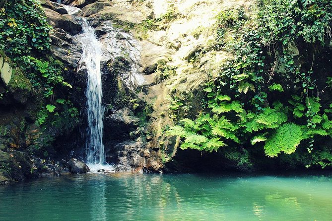 1 Day Excursion Nature and Archeology Bulla Regia and Beni Mtir From Tunis - Transportation and Accessibility