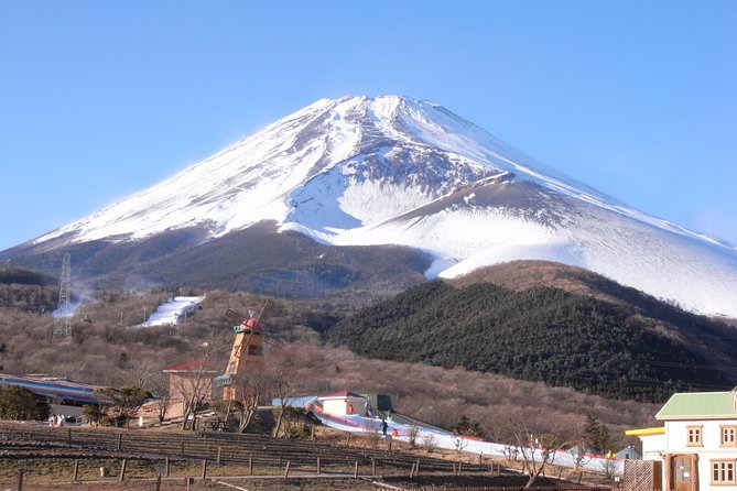 1 Day Family Fun at Fuji Private Tour - Grinpa Adventure Park