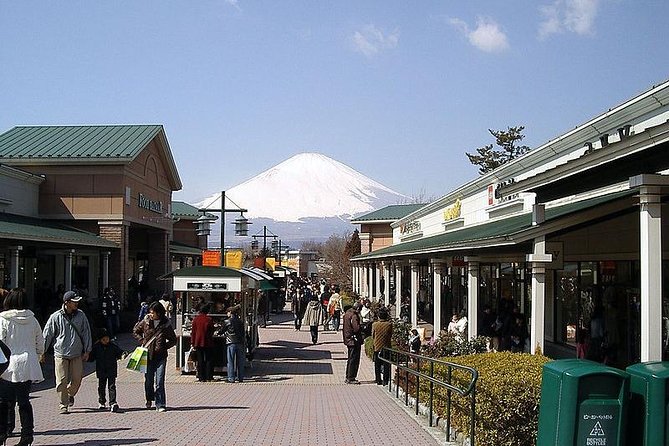 1 Day Family Fun at Fuji Private Tour - Accessibility and Inclusions
