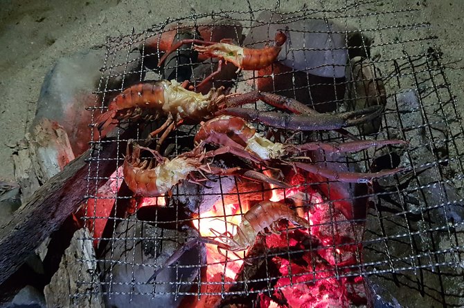 1-Day Hike & Camp With Turtle Watching at Paria Bay - Included Amenities