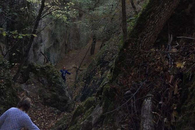 1 day hiking in Birtvisi Canyon from Tbilisi - Practical Details & Value