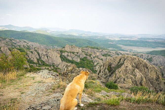 1 day hiking in Birtvisi Canyon from Tbilisi - Who Would Enjoy This Tour?