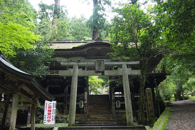 1 Day Hiking Tour in the Mountains of Kyoto - Participant Requirements