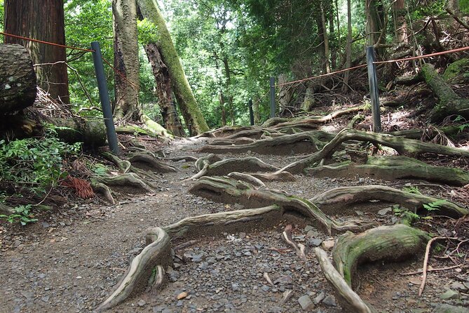 1 Day Hiking Tour in the Mountains of Kyoto - Cultural Insights