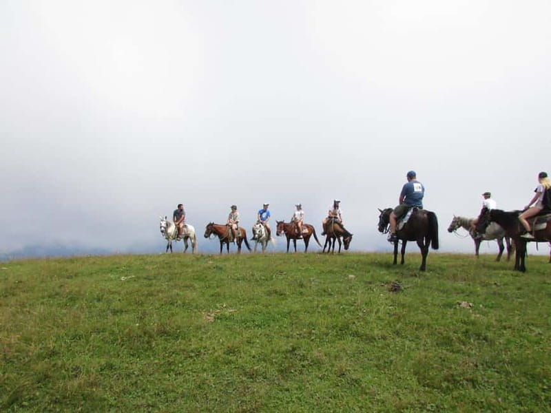1 Day Horse Riding Adventure in Borjomi Mountains - Who Will Love This Tour?