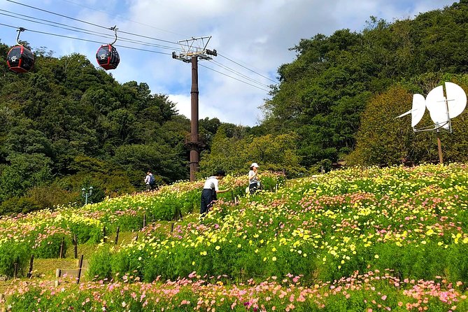 1-Day Kobe Highlights Tour Including Sake Tasting - Weather Considerations