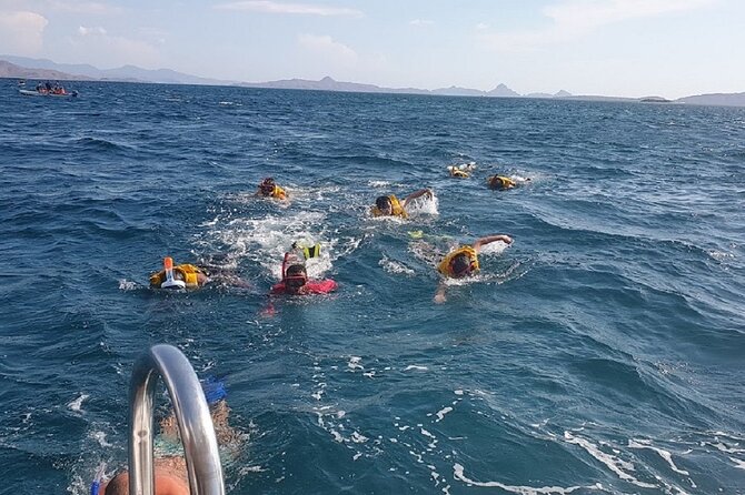 1- Day Komodo Island Hopping Tour by Speed Boat Departure From Labuan Bajo - Additional Notes