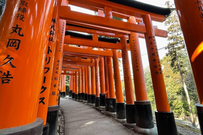 1 Day Kyoto Tour With a Local Guide - Accessibility Considerations