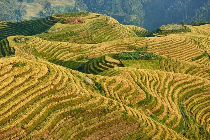 1-Day Longsheng Rice Terrace Tour From Guilin With Private Guide & Driver - Good To Know