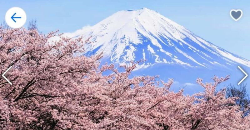 1 Day Mt Fuji Tour With Pick up and Drop off From Tokyo - Key Points